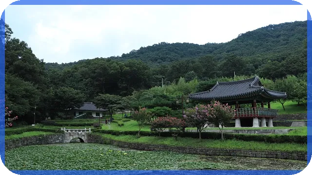 schd 주가와 배당금, 전략은 무엇일까