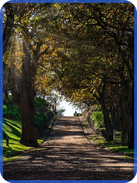 등기부등본열람 무료 서비스로 부동산 거래 안전하게 진행하자