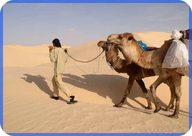 미국주식양도소득세 절세 방법과 신고 요령은?