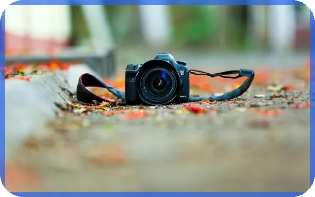 상장폐지주식 거래의 모든 것 알고 계신가요