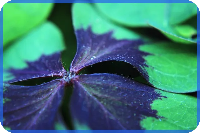 아파트청약방법 궁금하신가요