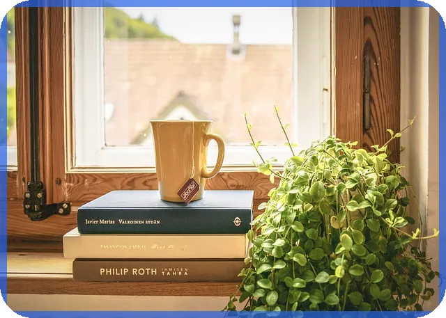 아파트청약조건 2025년 세종시 청약 완벽 가이드