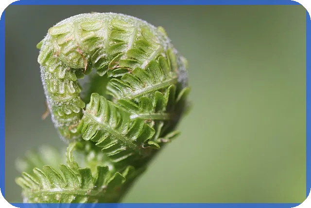 CJENM주가 OTT시장 긍정적 전망을 주목하라