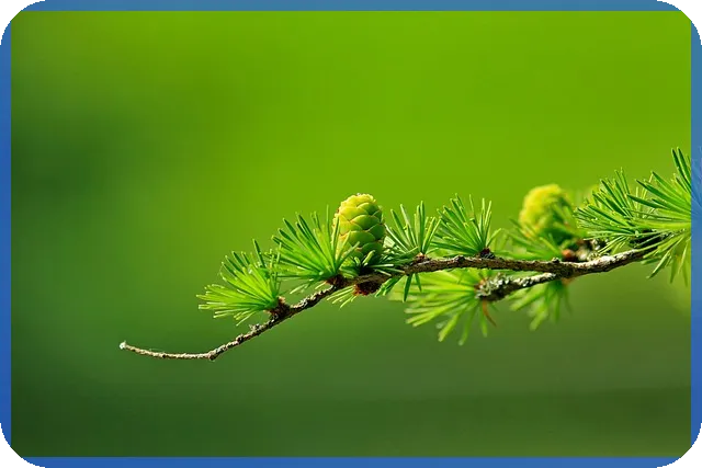 CJ대한통운주가 전망과 배당 기대요인 분석
