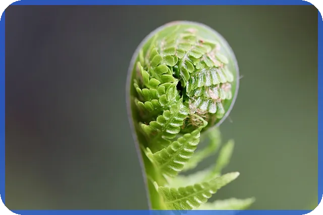 CJ대한통운주가 전망과 배당 기대요인 분석