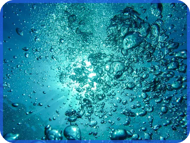 고용노동법 핵심이슈와 실무 주의사항 놓치지 마세요