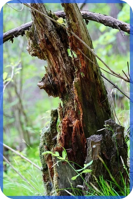 고용노동법 핵심이슈와 실무 주의사항 놓치지 마세요
