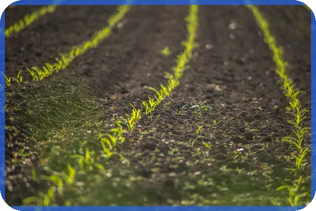 농지취득자격증명 신청 방법과 핵심 절차