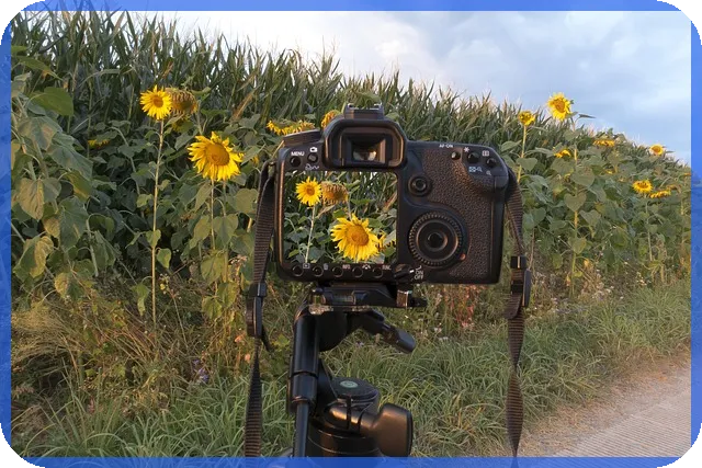대아티아이주가 지금도 매력적일까는 왜 중요한가