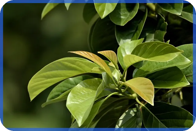 대아티아이주가 지금도 매력적일까는 왜 중요한가