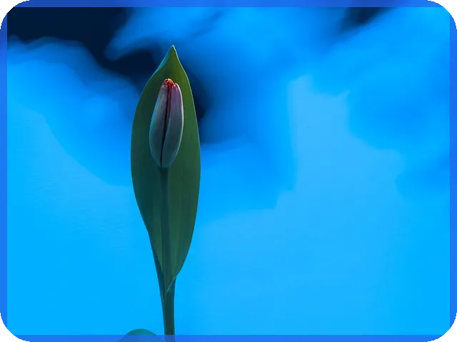 도시개발사업으로 경기도 광주 미래 도시 혁신