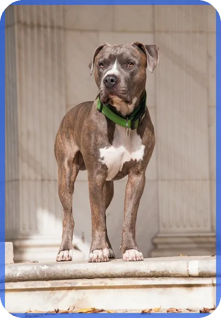 도시개발사업으로 경기도 광주 미래 도시 혁신