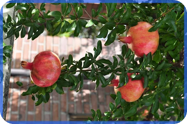 동전주 투자 전략으로 높은 수익 기대할 수 있나요