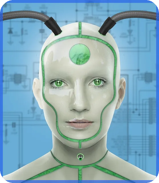 드림텍주가 전망분석 기초부터 차트까지