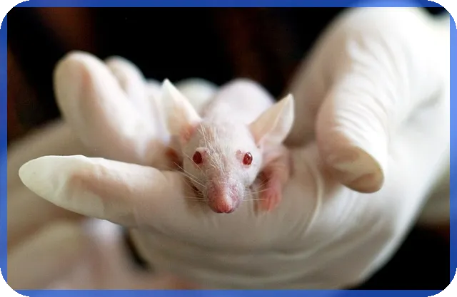 모더나관련주 주가전망과 수혜주 분석