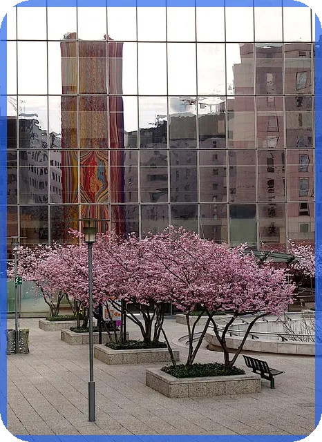 법인임대사업자 설립과 운영 완전 정복