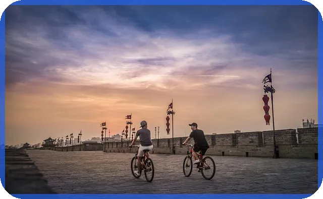 보험비교사이트 활용법을 알면 더 안전한 암보험 가입이 가능하다