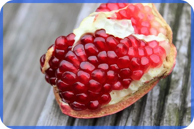 보험비교사이트 활용법을 알면 더 안전한 암보험 가입이 가능하다