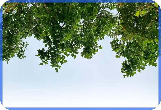 부광약품주가 유상증자 후 어떻게 변화할까