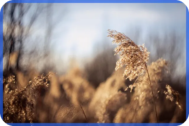 빅데이터관련주 더존비즈온 주가 분석 비결은?