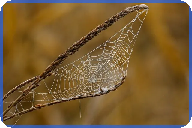 상가임대사업자등록 신청 방법과 꼭 지켜야 할 절차 알아보기