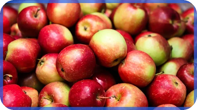 설탕관련주 2024년 투자전략 핵심 분석