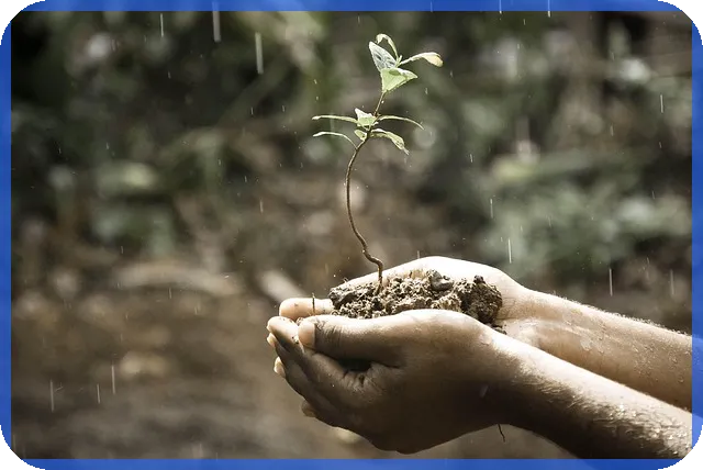 설탕관련주 2024년 투자전략 핵심 분석