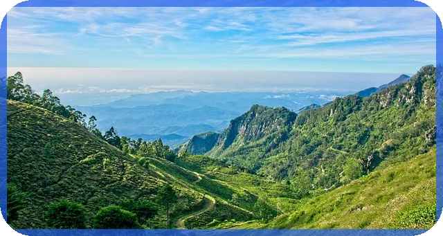 소유권이전등기 작성법, 이젠 쉽게 할 수 있다