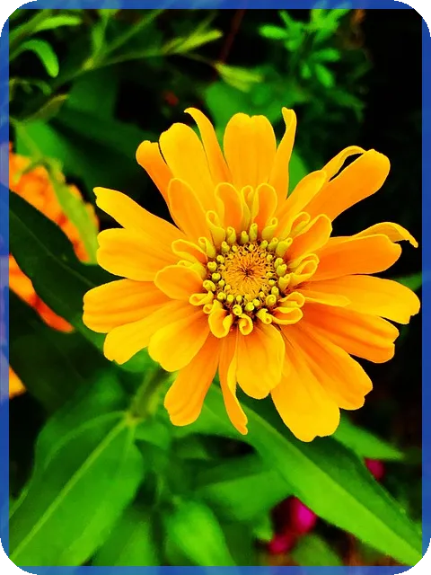 송도아파트 관리비 정보와 실거래 가격은?