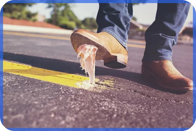 시드머니 없이는 성공 가망 없다 실태와 해결책