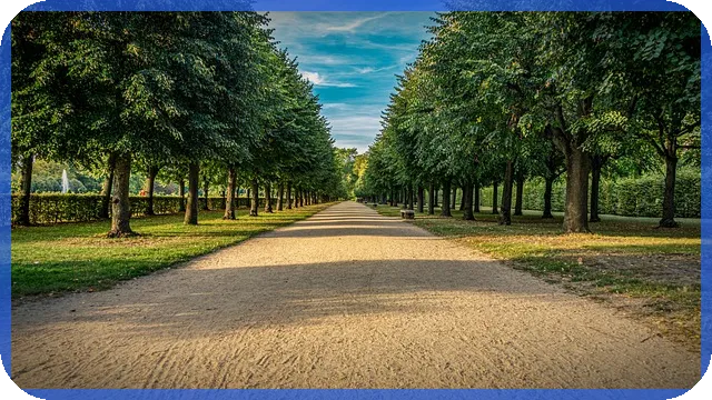 안랩주가 대선주로의 상승 가능성은