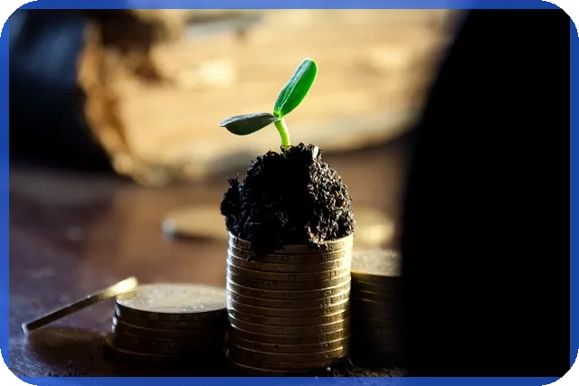 안랩주가 대선주로의 상승 가능성은