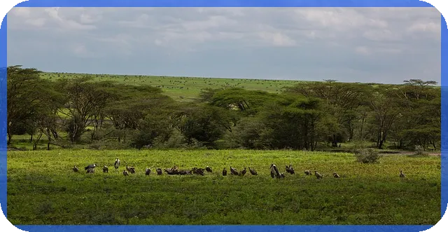 인천중고골프채 수익성 있는 교환 방법은?