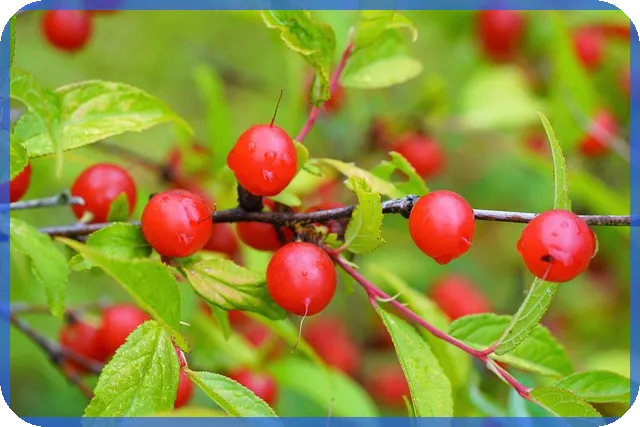 태풍관련주 어떻게 될까 태풍 끄라톤의 영향