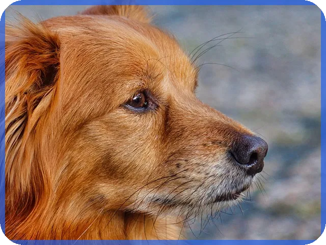 하나은행주가 분석으로 투자 기회 찾기