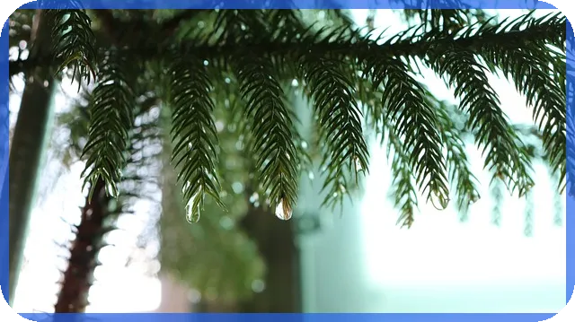 황사관련주 투자전략 봄철 수혜 기대하는 핵심 포인트는?