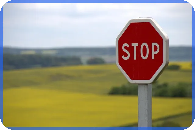 dao란 무엇인가 최근 트렌드와 미래 전망