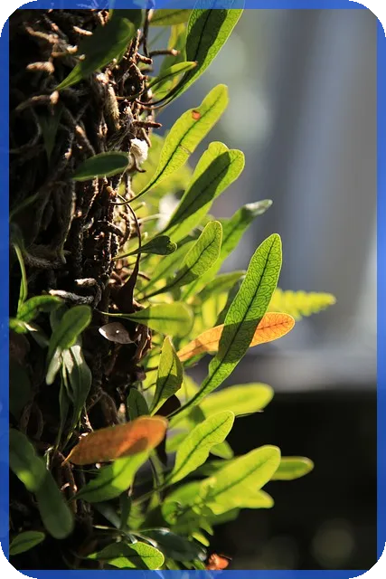 dao란 무엇인가 최근 트렌드와 미래 전망