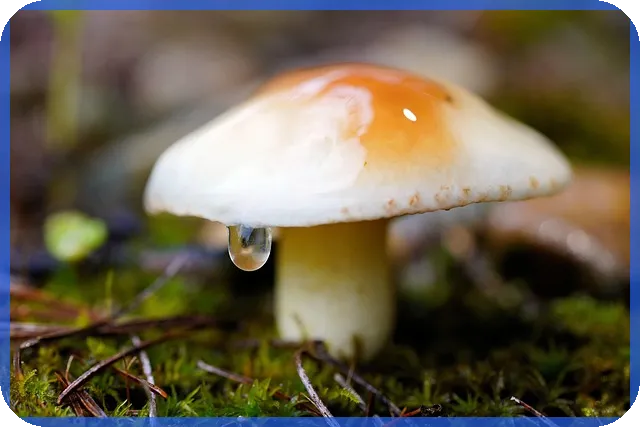 경기도광주아파트 곤지암역 프리미엄 주거단지 분양가