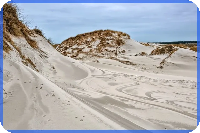 더갤러리832 분양정보와 개인정보수집 정책 확인법