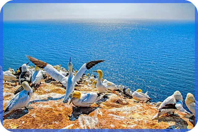 멀티플 확장으로 주가 급등 원인과 투자 전략 분석