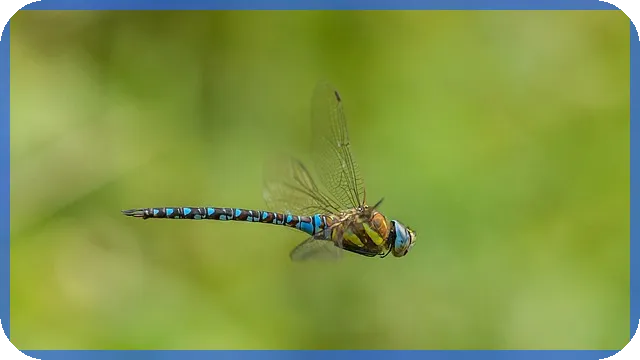 북항재개발 최신사업과 홍보관 핵심 정보