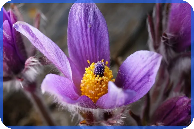 북항재개발 최신사업과 홍보관 핵심 정보