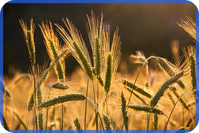 안산장상지구 24년 하반기 보상 완료 후 착공 가속화