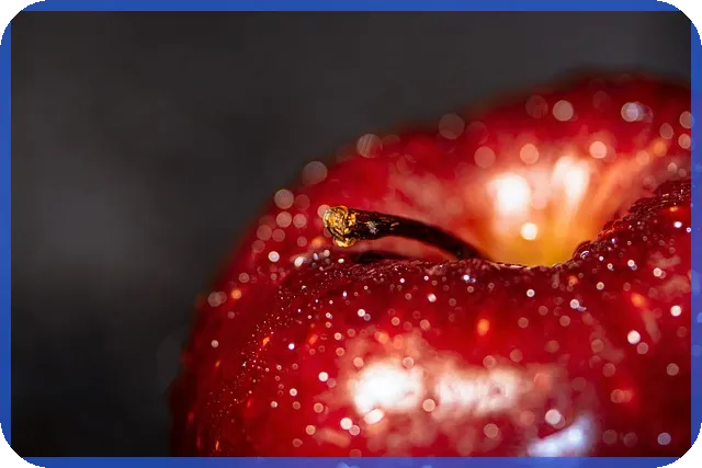 안전망대출2로 저신용자 신용회복과 대출 해결 방법 찾기