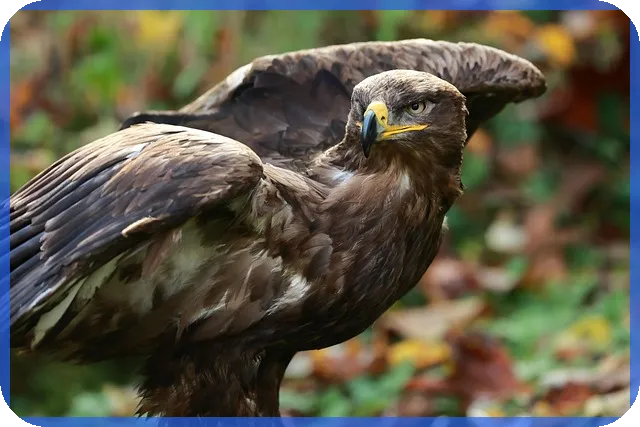 안전망대출2로 저신용자 신용회복과 대출 해결 방법 찾기