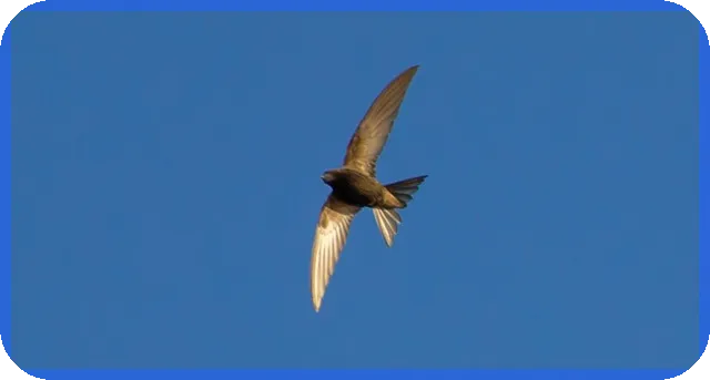 연체자대출로 급전 해결하는 방법과 조건 알아보기