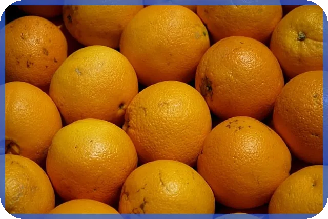 중개의정석으로 부동산 성공 전략 공개