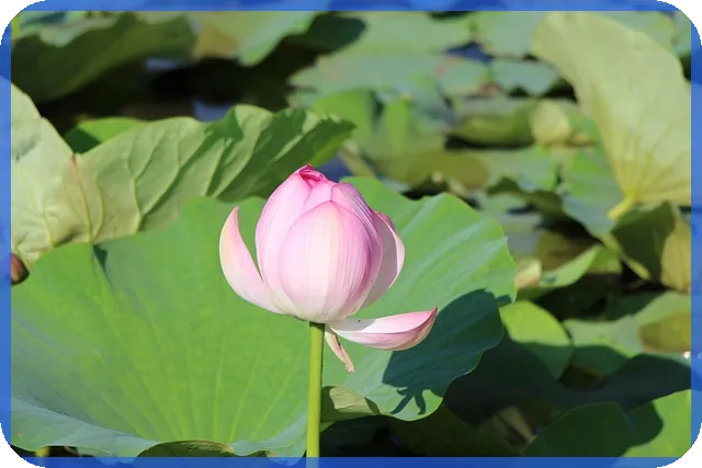 중개의정석으로 부동산 성공 전략 공개