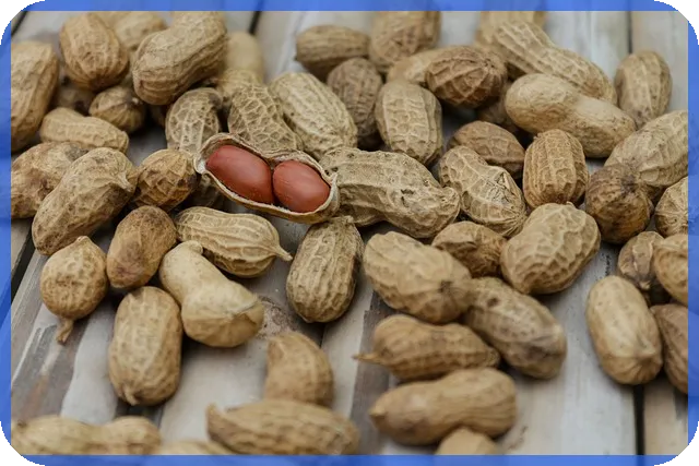 집대출 2억 이자 절약 노하우 알려드립니다